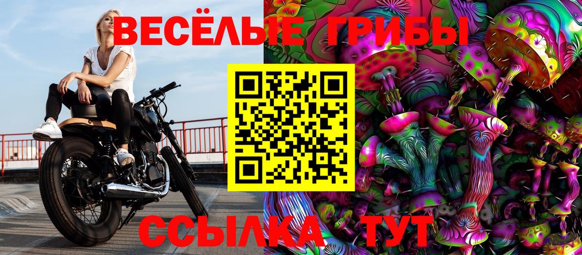 Галлюциногенные грибы ЛСД Красный Сулин