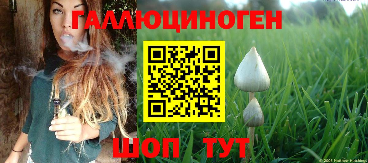 Красный Сулин  Псилоцибиновые грибы мицелий  Вход с VPN 
